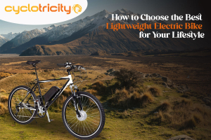 Lightweight Electric Bike